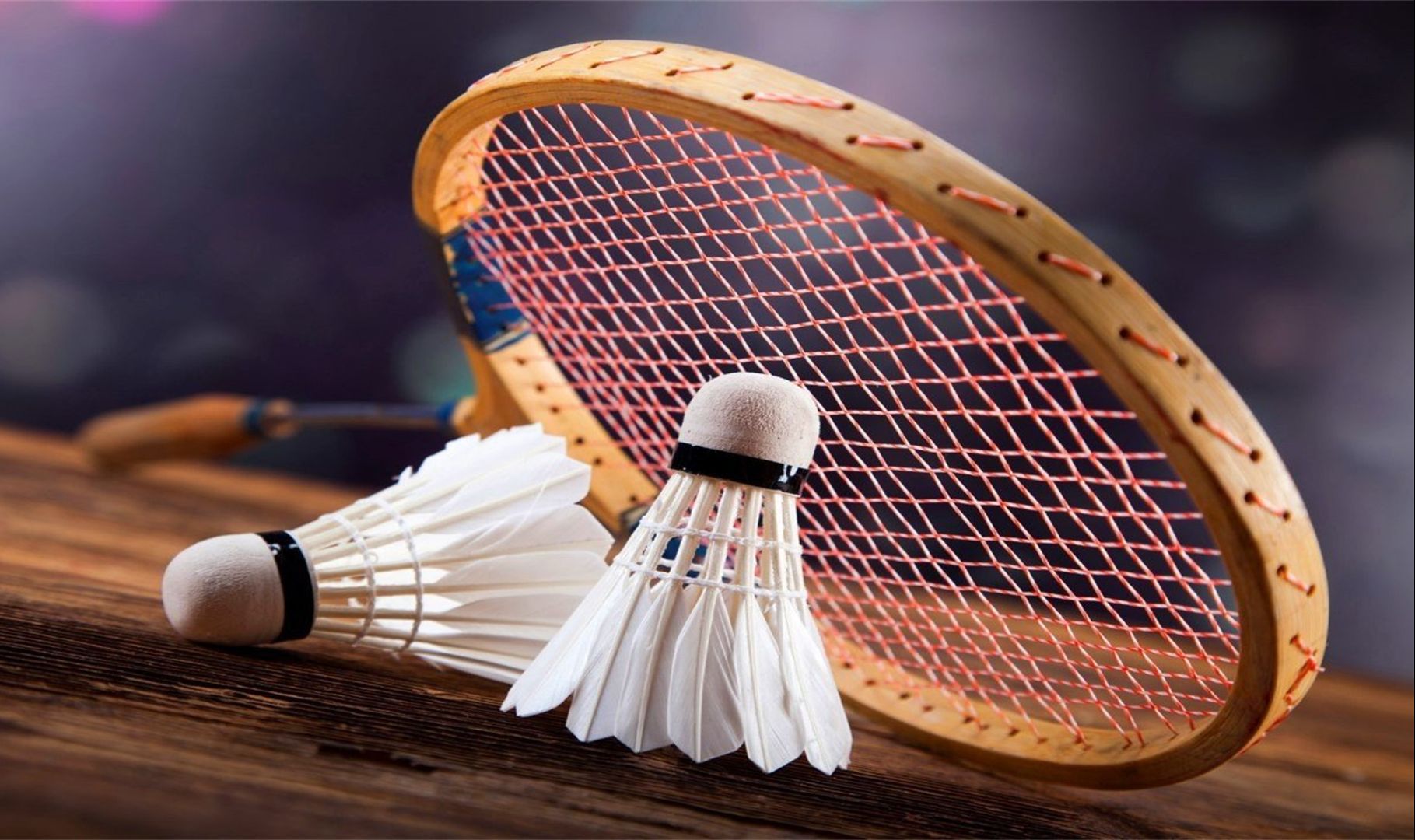 场馆管理系 场馆管理系